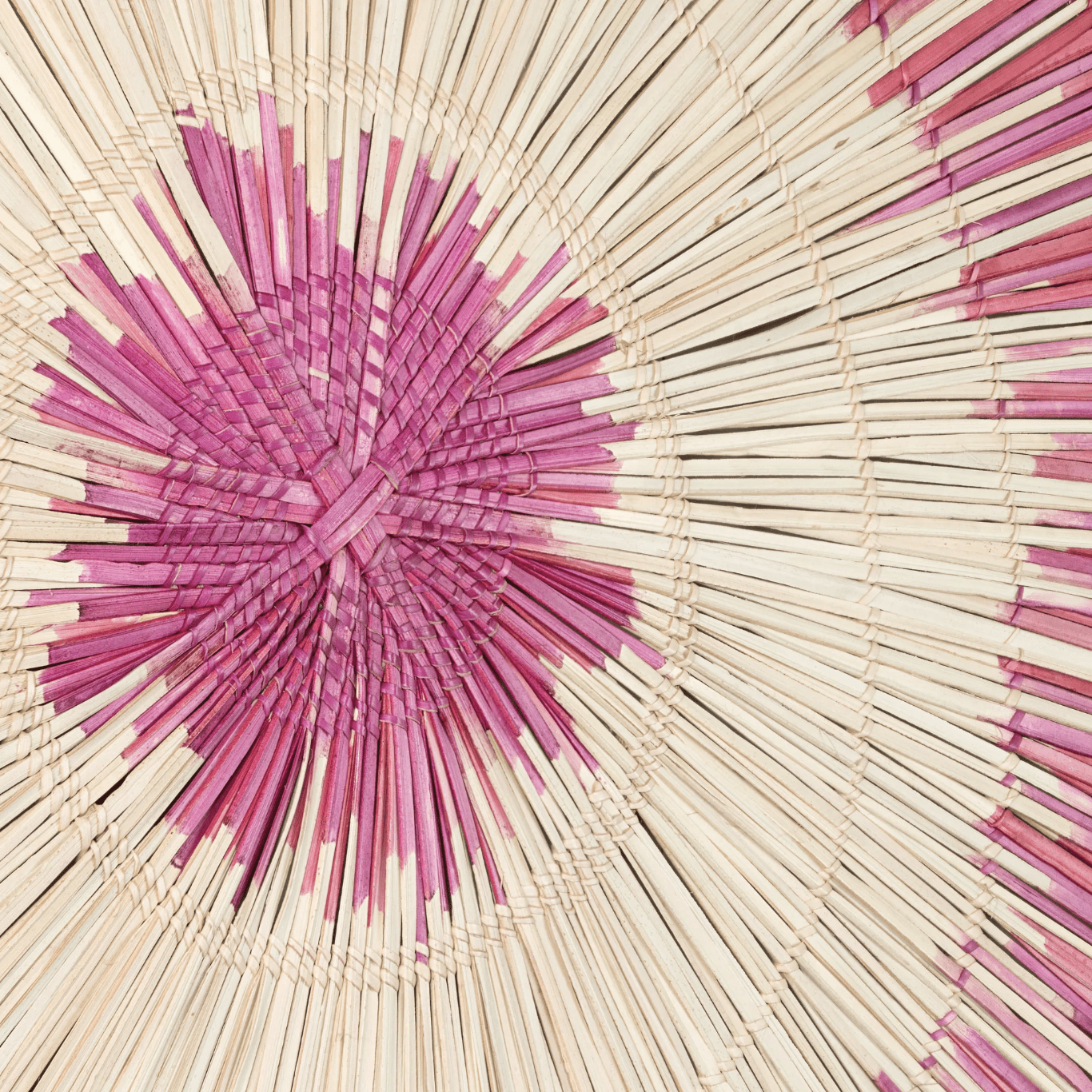 Large Palm Sun Circle - Pink